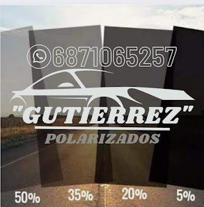 Polarizados Gutierrez